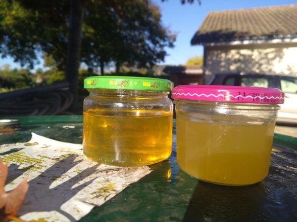 Before and after oil sample comparison — centrifuge vs standard filter